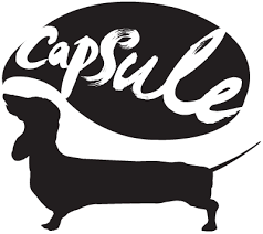 Logo: capsule